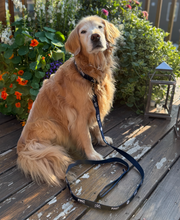 Load image into Gallery viewer, PMC Pups Dog Collar - Navy &amp; White